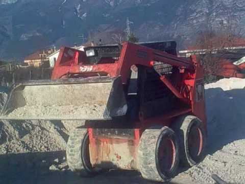 sulmona, pasqualino con bobcat