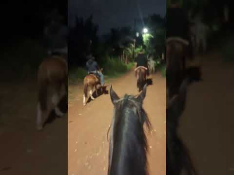 #tbt da cavalgada de guariba top 🤠🐎🐎🐎🐎🙏❤️