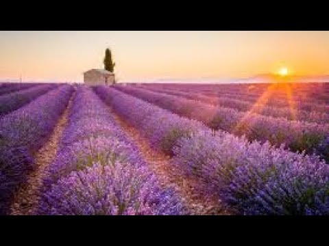 Grup Golgota | Volum 1