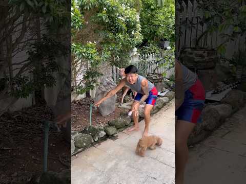 Chồng khờ ngơ rửa kem cho đỡ lạnh và cái kết