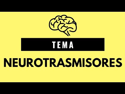 NEUROTRANSMISORES ▶LA ACETILCOLINA, DOPAMINA, ADRENALINA, NORADRENALINA, ENDORFINAS Y  FUNCIONES◀