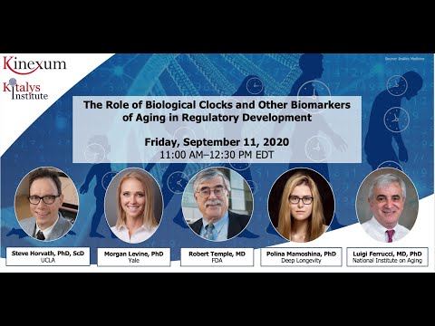 Role of Biological Clocks and Other Biomarkers of Aging in Regulatory Development