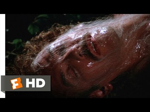 Invasion of the Body Snatchers (7/12) Movie CLIP - Escaping the Pod People (1978) HD