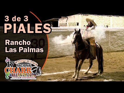 3 PIALES - Rancho Las Palmas - 17th National Championship VALLARTA 2019