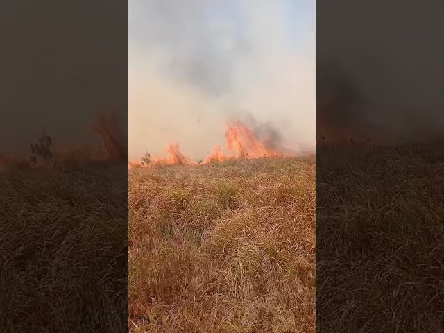 Agriculture ministry urges public to avoid open fires as more farmland burns in St Elizabeth