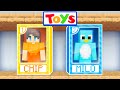 We TURNED Into TOYS In Minecraft