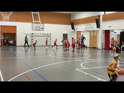 25.8.2018 Tallink, Beat Basket - Pyrintö White