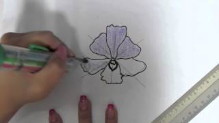 NDP orchid drawing