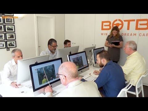 Judging of BOTB Lifestyle Competition - Week 19 2019