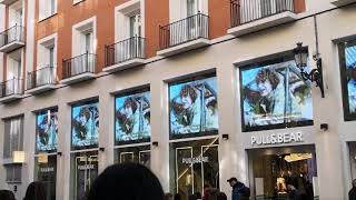 Pull&Bear Finn and Sadie