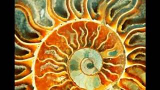 Ronnie Earl & The Broadcasters - Song For A Sun (Dedicated to Carlos Santana)