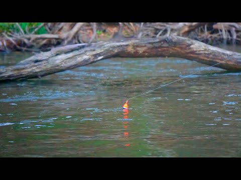 Exploring a NEW River for Fall Steelhead - INSANE BOBBER DOWNS!