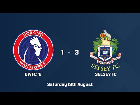 HIGHLIGHTS | DWFC 'B' vs Selsey FC