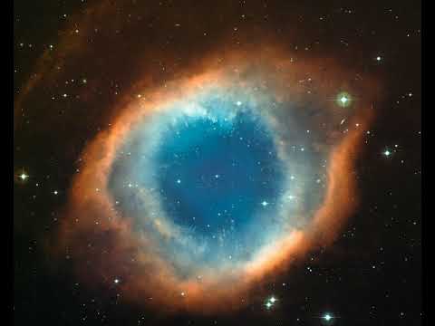 Lee Richardson, Richard Macklin, Tom Ford, James Cocozza - Immersion Therapy