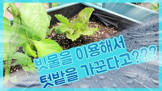 [스토리가 있는 경기팜 14] 버려지는 빗물을 활용해서 작물을 키우는 꿀팁!!