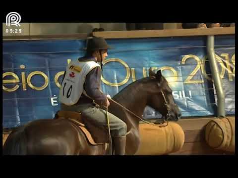 Classificatória Região Sul – 2° lugar fêmeas – Ocasião 734 de Nazareth (Prova: Mangueira II)