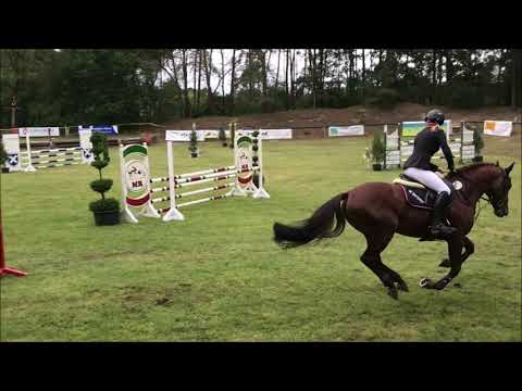 4j Hengst v. Duncan x Narew xx