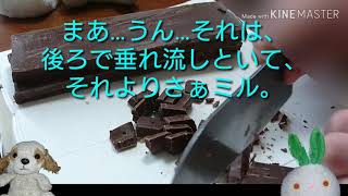 【ぬいぐるみ料理実況】第3弾 チョコバナナ作り