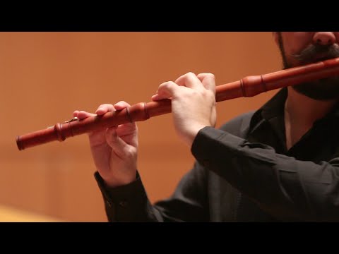 Telemann : Concerto per flauto dolce e flauto traverso (IV. Presto)