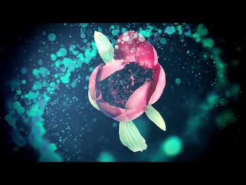 MONKEY3 - Ida (Official Art Video) | Napalm Records