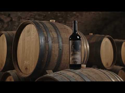 Asustao Malbec Joven | Single Vineyard 2023 | Misterio y Encanto de Cafayate | 1900 msnm