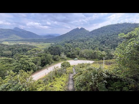 PROCURAMOS O GUARÁ, E ACHAMOS O LUGAR ONDE ELES DORMEM!