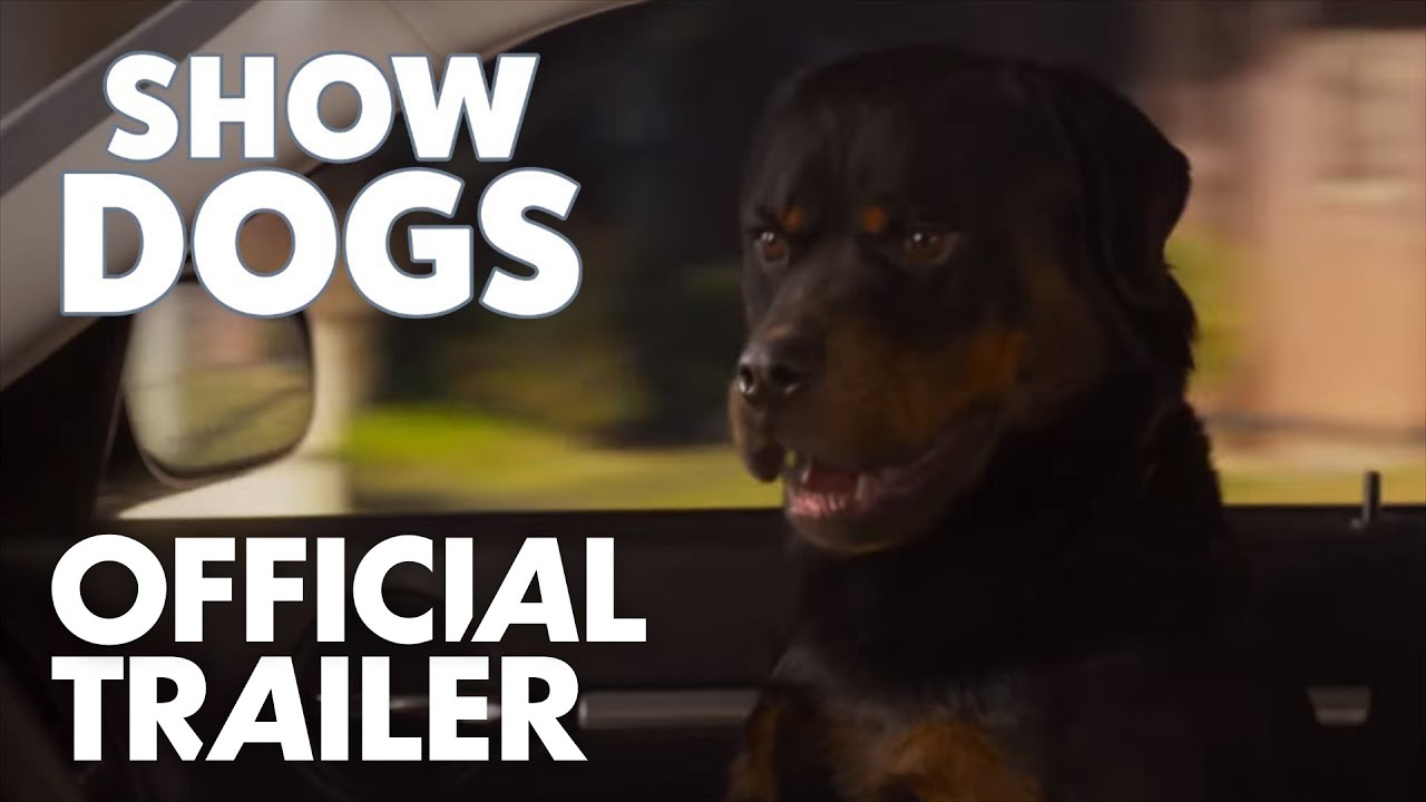 Official Trailer