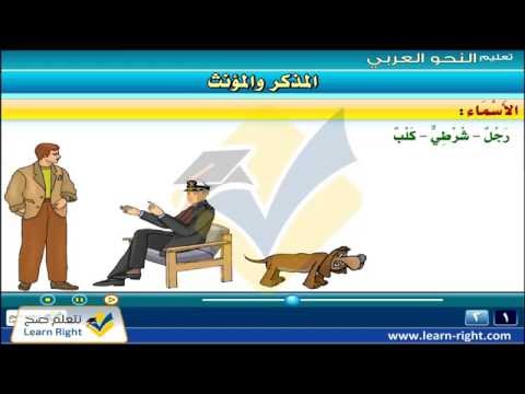 تعليم النحو العربي ‎ Video