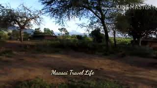 preview picture of video 'Le nostre escursioni nella savana della Tanzania'