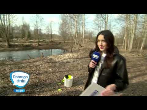 Wideo 2