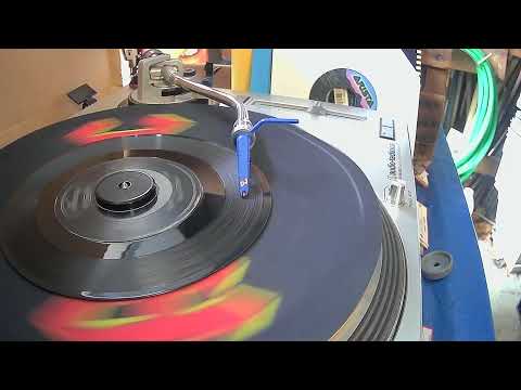 Harry The Hairy Ape ~ Ray Stevens ~ 1963 ~ Styrene