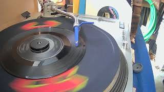 Harry The Hairy Ape ~ Ray Stevens ~ 1963 ~ Styrene