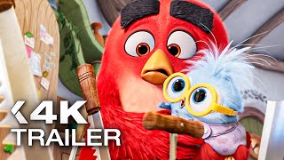 ANGRY BIRDS 3: Der Film Trailer German Deutsch (2026) ANGRY BIRDS 3: Der Film Trailer German Deutsch (2026)