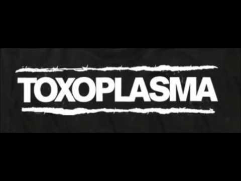 Toxoplasma  -  ZackZackZack
