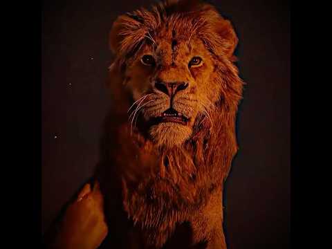 🎬 Simba is kind and he doesn't want to harm Scar. 💖 #edit #movie #shorts