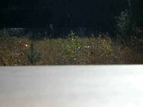 dunk vs 30 06 hammerhead