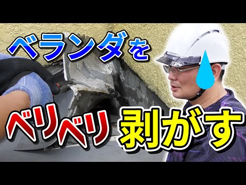 ボヘミアンバルコニーの装飾ナバホ族の屋外敷物緑の植物