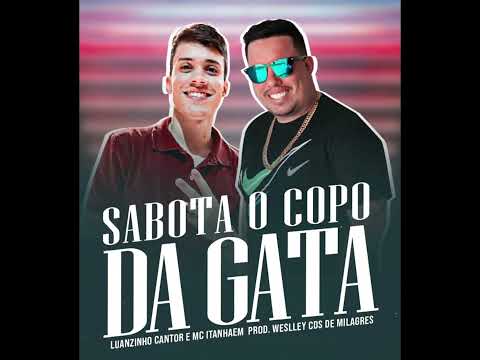 Sabota o copo da gata Mc itanhaem feat Luanzinho cantor  lançamento 2022