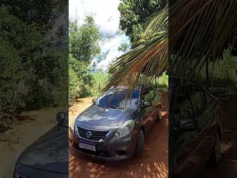 SÍTIO DO CARRO QUEBRADO TRIUNFO-PE II #sertão #triunfo #sítiocarroquebrado #nordeste #familia