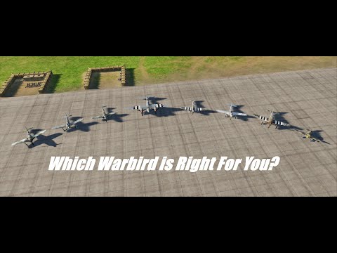 Which Warbird in DCS is Right For You? | DCS World