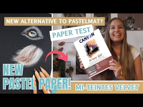 New Pastel Paper: CANSON Mi-Teintes VELVET -Paper Test for Animal Portraits -Sabine Lackner Fine Art
