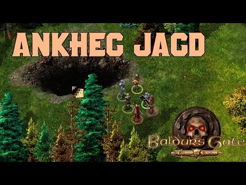 Let's Play Baldur's Gate: Enhanced Edition: Ankheg Panzer - Teil 34