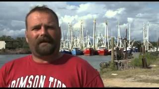 Fisherman "Shrimp Turned Rubber Fish Lost Slime Smell and Taste"