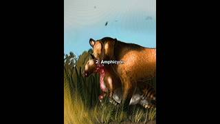 The Miocene had some of the scariest predators ever #prehistoric #extinct