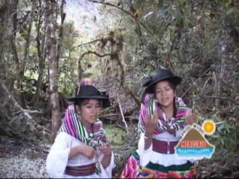 Hermanitas Espinal Isabel y delcy  shacatan IV