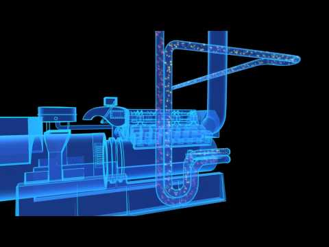 Sydney to build Australia's first low-carbon energy network