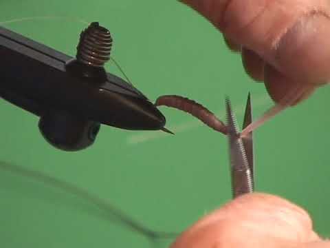 Vladi Worm Anchor Fly