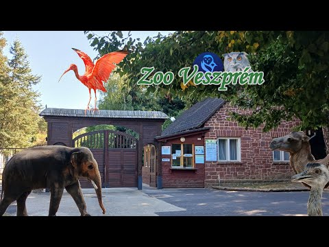 Veszprémi Állatkert – 2024 augusztus #hungary #veszprém #zoo