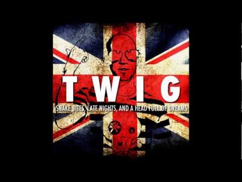 Twig - We Write These Songs ft Young Ess Pee - Snake Bites, Late Nights, And A Head Full Of Dreams