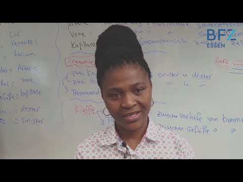 Mit uns eine doppelte Chance nutzen - Hauptschulabschluss inkl. Berufseinstieg